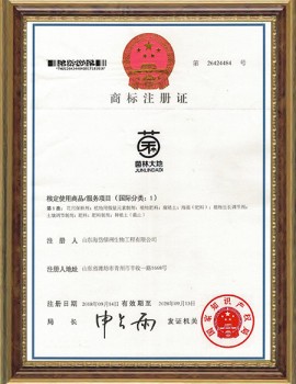 JUNLINDADI Trademark