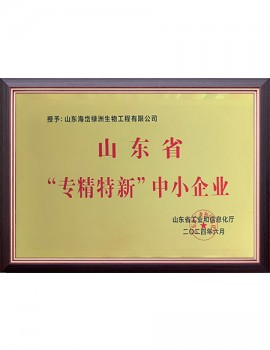 山东省“专精特新”中小企业